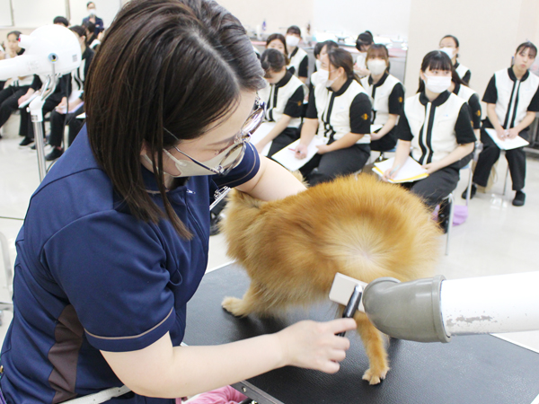先生の試技を１年生が見学☆ＰＡＲＴ①☆